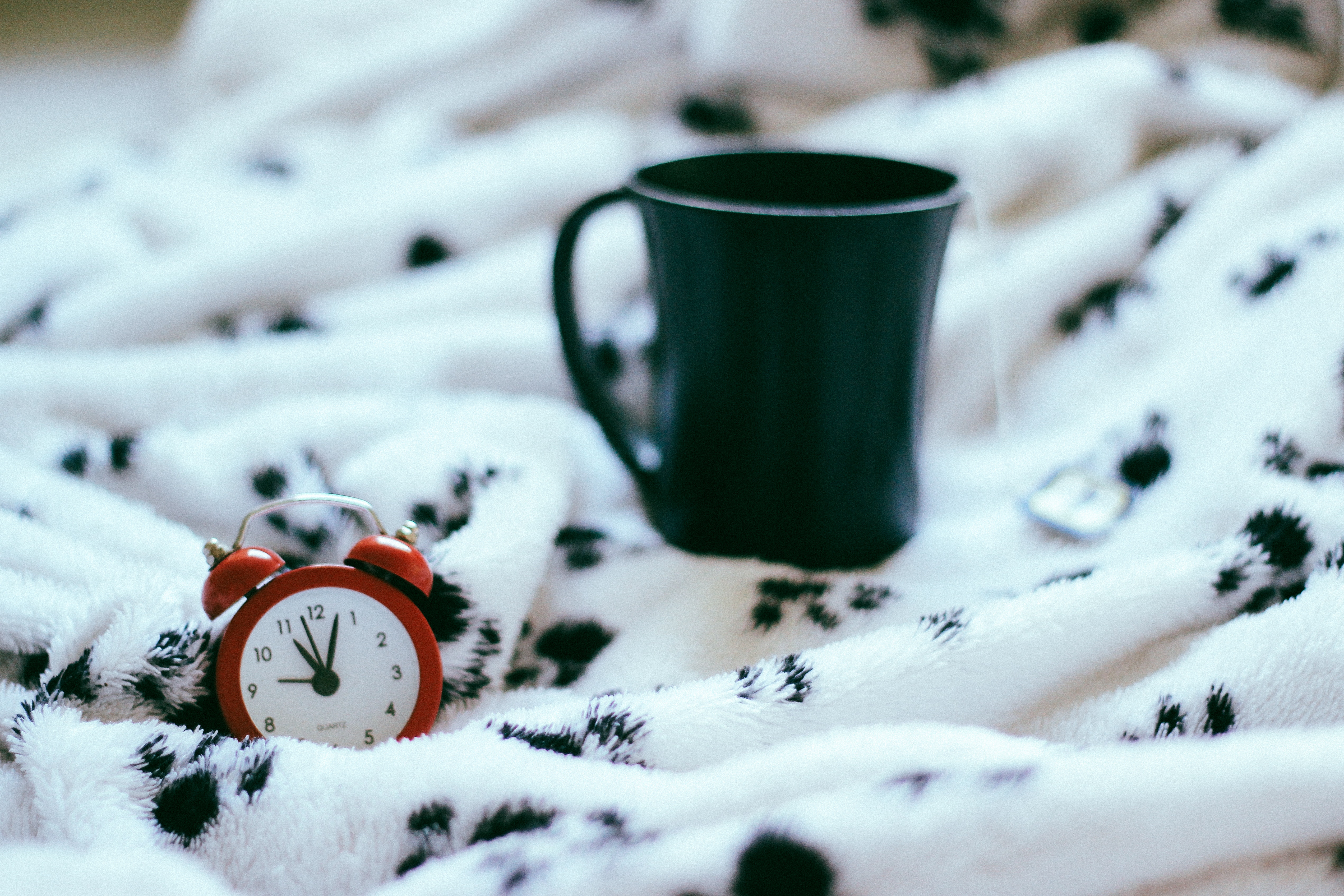 camila-damasio-91785-unsplash