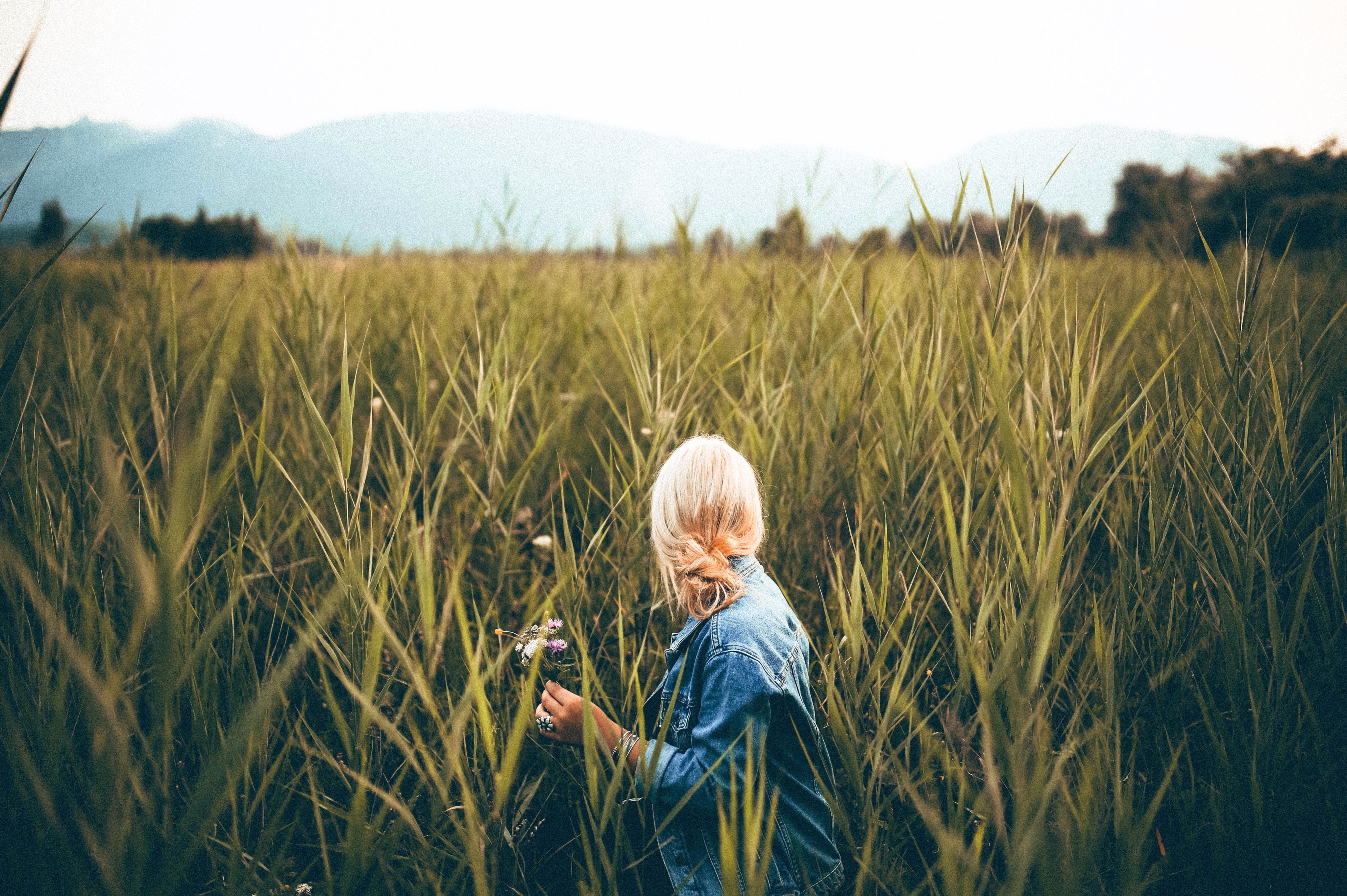 agriculture-back-view-blonde-567953
